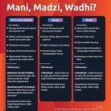 Hanya saja perempuan lebih banyak, karena baginya berfungsi sebagai pelumas di saat jimak. Mohd Fadhil Fadhilhjrazak Profile Pinterest