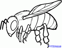 We did not find results for: How To Draw A Honey Bee How To Draw A Honey Bee Step 10 Bee Drawing Bee Sketch Bee Painting