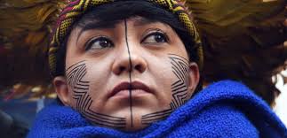 Environmental defenders