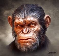 Caesar Planetoftheapes Portrait Gorillas Art Monkey Art Planet Of The Apes Home » inpirational » caesar planet of the apes. pinterest