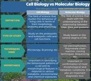 Image result
