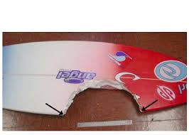 bite damage to a surfboard produced by a large tiger shark