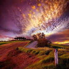 Beautiful evening