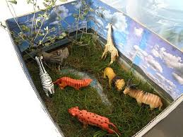 Biome In A Box Project Pin Grassland Biome Box Project For Kids Arabindagraphy Hpage Co In Ecology 26459083 Html On Pinterest Grassland Biome Biomes Biomes Project