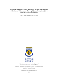 Image result for Mimulopsis excellens