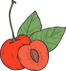 Get stunning cherries, free clipart images with transparent background in png format. Cherries Clipart Free Download Transparent Png Creazilla