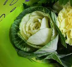 Rehydrate the flowers by cutting the stems at an angle under cool water. This Flower That Looks Like A Cabbage Mildlyinteresting