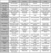 Comparison Between Herbivores Carnivores Omnivores And Humans Vegan Banners Food Calorie Chart Vegan Human Teeth