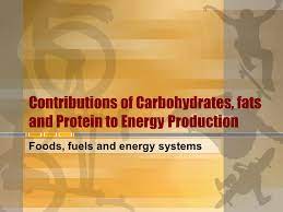 Carbohydrates also help to regulate the digestion and utilization of proteins and fats. Chapter 4 Foods Fuels And Energy Systems Text Sources Ppt Video Online Download