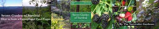In this close up photo of our secret garden of survival, there are bush beans, cucumbers, peanuts, passion fruit, comfrey, mint. Secret Garden Of Survival