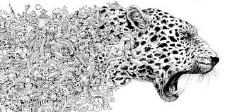 Animorphia Coloring Book Animorphia Coloring Book Animorphia Coloring Animal Coloring Pages