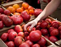 Whats In Season In Massachusetts A Monthly Produce Guide