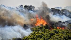 See 21 authoritative translations of fire in spanish with example sentences, conjugations and audio pronunciations. Megalh Fwtia Sthn Anatolh Agias Synexizetai H Pyrkagia Sto Sarantaporo Eidhseis Nea Gia Larisa 8essalia Thleorash
