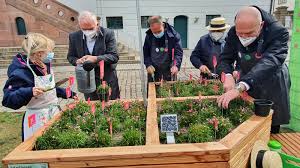 Live accompaniment to bbc's 'blue planet (2001)'. Halexa Themenjahr In Den Franckeschen Stiftungen Wird Bei Youtube Eroffnet Halophyten Bank Steht Vorm Waisenhaus Du Bist Halle