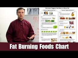 Fat Burning Foods Download The Fat Burning Food Chart