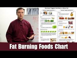 fat burning foods download the fat burning food chart