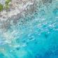 IRONMAN 70.3 Cozumel event image