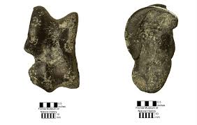 Image result for Astragalus