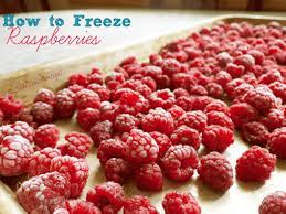 Check spelling or type a new query. How To Freeze Raspberries