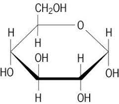 This Is The Monomer Of Carbohydrates Structural Formula Macromolecules Carbohydrates Biology