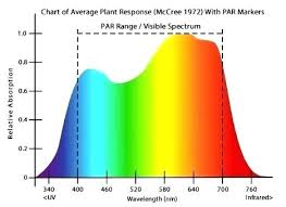 led grow light distance from plant millionpost info