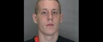 Niagara police searching for Hamilton man wanted for theft, dangerous  driving