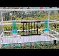 HOW TO MAKE A HANDCRAFTED BIRD CAGE🤔PART 1 - YouTube