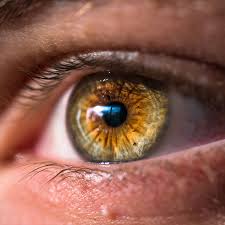 In extracapsular cataract surgery, your ophthalmologist makes a larger opening in the eye. How To Reduce The Impact Of Cataracts On Your Vision Versant Health