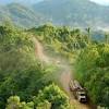 The country has established a number of parks and reserves that protect about eight percent of the congo. Https Encrypted Tbn0 Gstatic Com Images Q Tbn And9gcrdmn4vh5eg36xgze2rqypbrtquxv8av R9mwlvzhq8jo9ksjf Usqp Cau