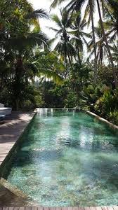 Cleaning pools in central to north brevard. 33 Tropical Swimming Pool Designs For Those Who Daydream Luxury Swimming Pools Hotel Swimming Pool Swimming Pool Designs