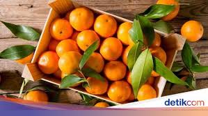 Bagaimana cara membuat jus alpukat. Mana Lebih Dulu Dikenal Kata Orange Untuk Jeruk Atau Oranye