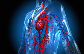 Poor circulation and blood flow often cause cool extremities, discolored extremities, and edema (swelling). How To Improve Your Circulation Douglas J Roger Md