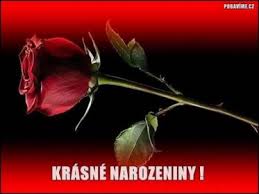 Image result for animovan  p%u0159 n  k narozenin m