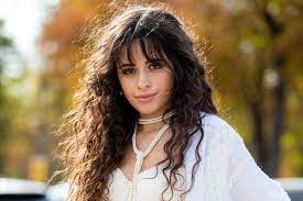 One of the reasons fans love their relationship so much is because they started out as friends before becoming boyfriend and. Camila Cabello Shares Empowering Body Positive Video Message After Unflattering Paparazzi Pics I Love My Body Tech Gossip