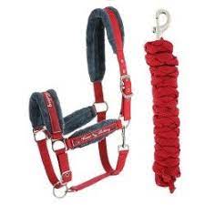 pack licol longe equitation cheval et poney winner bottes equitation equitation cheval