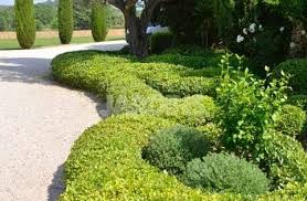 En Son Domaine Le Jardin Au Milieu Des Vignes Les Plus Beaux Jardins Tendances Jardin Beaux Jardins