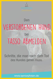 pin auf abschied vom geliebten hund