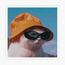 Honestly, i can't even making anything similar or close enough to make it look that great. Cat Wearing Sunglasses Stickers Redbubble