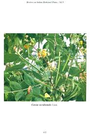 Image result for Helixanthera garciana