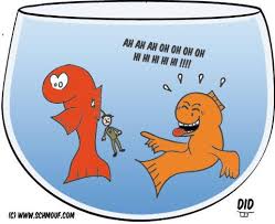 Nous vous proposons le forfait sans amis pour 15€ par mois,on vous enverra 1 texto toutes les heures comme de. Poisson D Avril Teaching French Instant Fun April Fools Pranks