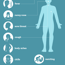 Swine Flu H1n1 Flu Symptoms