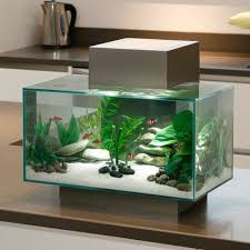 Aquarium Fluval Edge A Led Fluval Aquarium Nano Aquarium Aquarium Fish Et Aquarium Set