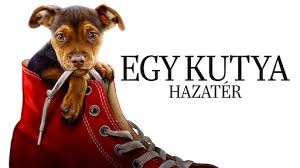 Egy kutya negy utja 2019 teljes film magyarul online videok mafab 21 over blog com a gyaszolo asszony atka. Egy Kutya Negy Utja Netflix