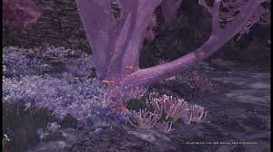 Petricanths · wiggler queen · cactur /cactur cutting · pilot hare · phantom flutterfly · emerald helmcrab · moonlight gekko · the whetfish , pink . Monster Hunter World How To Catch All Rare Endemic Life Steamah