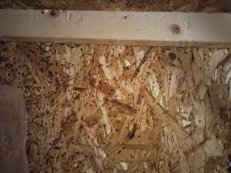 Find deals on products in paint supplies on amazon. What Are The Black Spots On My Basement Ceiling Home Improvement Stack Exchange