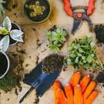 Plant Swap