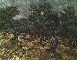 Vincent Van Gogh The Olive Grove Vincent Van Gogh Vincent Van Gogh Paintings Van Gogh