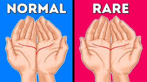 I Ll Read Your Palm And Tell You Its True Meaning Youtube