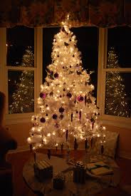 Other articles where desert christmas tree is discussed: Rants From The Hill A Christmas Tree Grows In The Nevada Desert High Country News Know The West