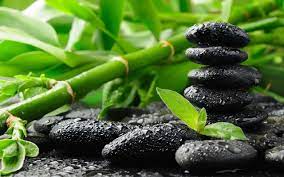 Black Stones And Bamboo